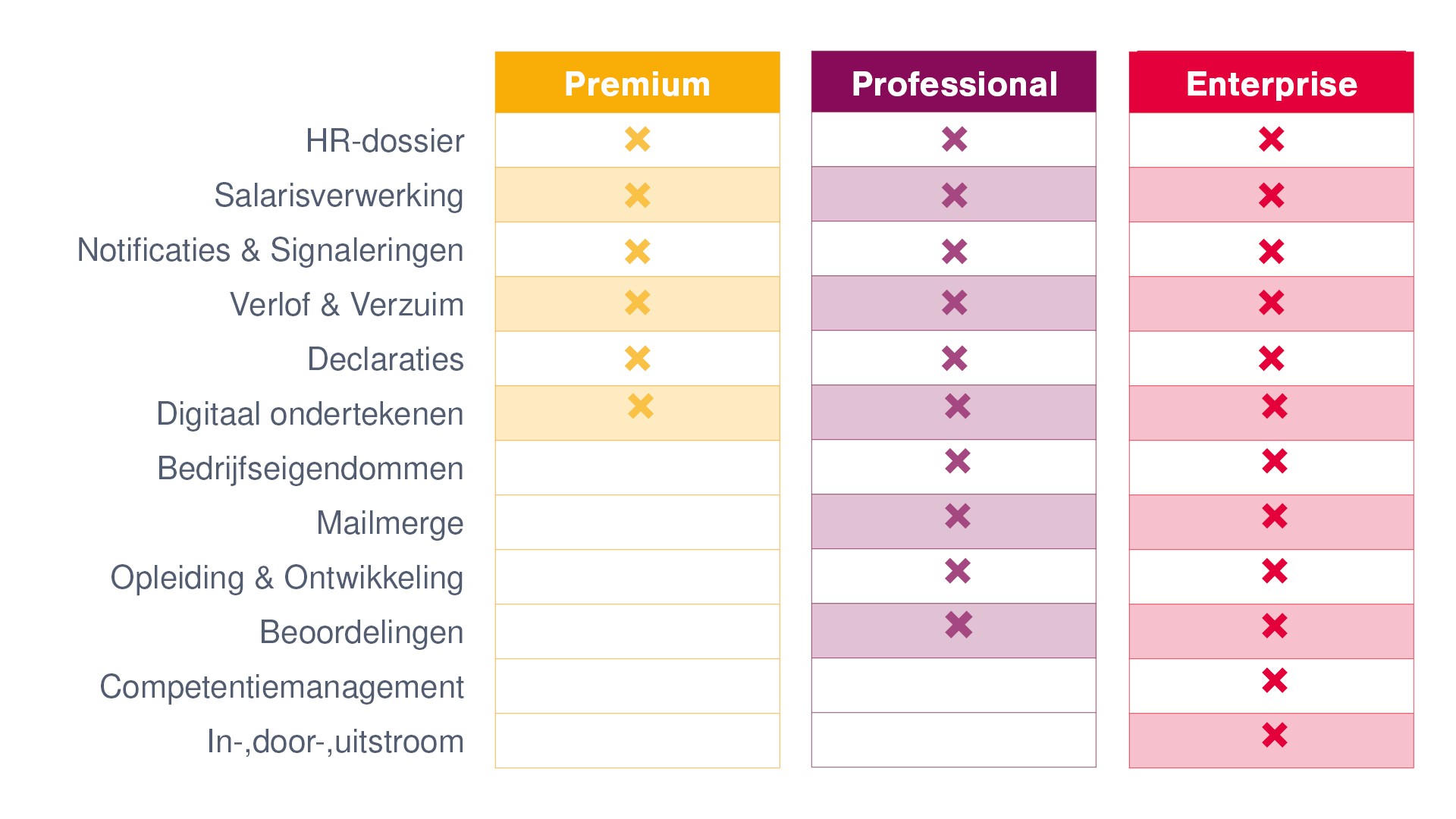 Een gestroomlijnd payrollproces met de juiste salarisadministratie